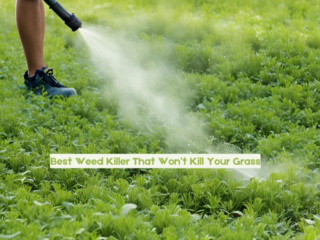 Best Weed Killer That Won’t Kill Your Grass
