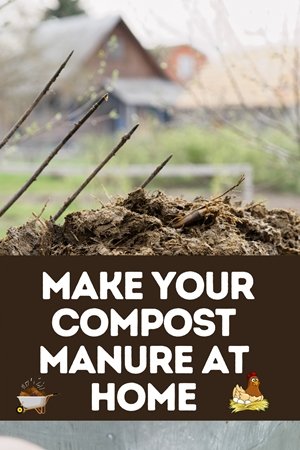 How To Make Compost Manure At Home
