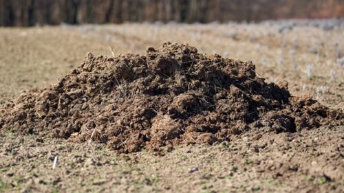 How To Make Compost Manure At Home