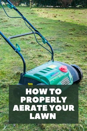 How To Aerate Your Lawn For Its Proper Growth Yearly