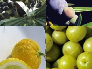 Fruits That Start With I