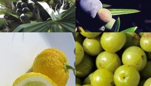 Fruits That Start With I
