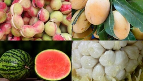 Fruits That Start with M