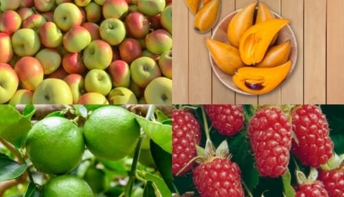 Fruits That Start With L