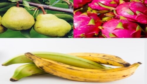 Fruits That Start With P