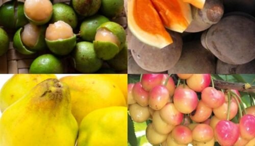 Fruits That Start With Q