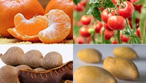 Fruits That Start With T