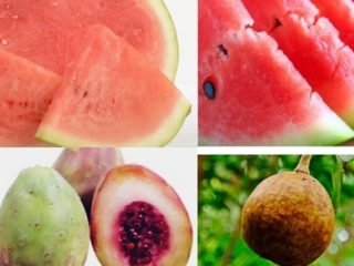 Fruits Name Starts With The Letter X
