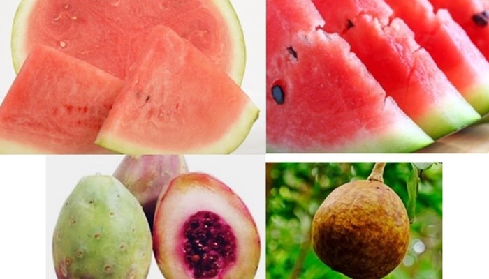 Fruits Name Starts With The Letter X