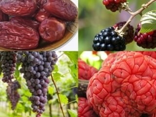 Fruits That Start With Z