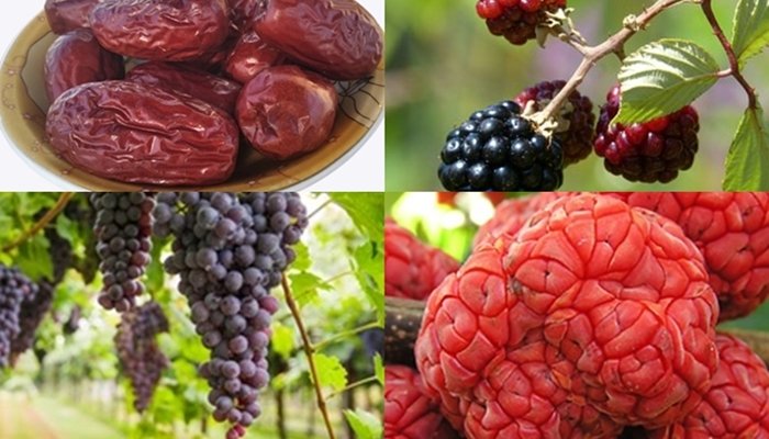 Fruits That Start With Z