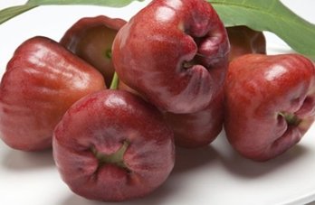 Fruits Name Starts With The Letter W