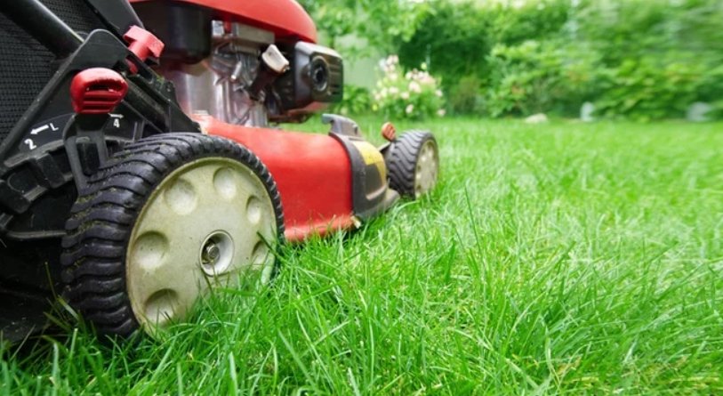 Mow The Lawn