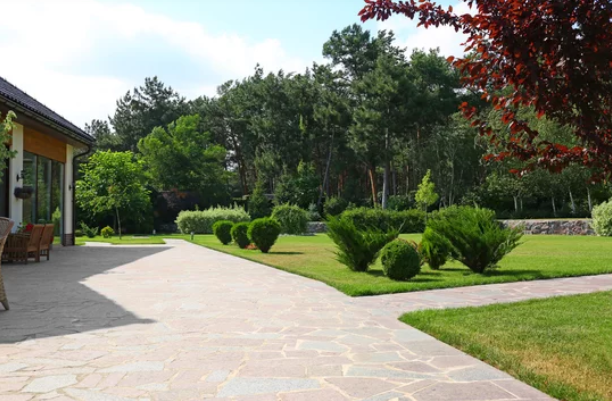 Trees That Can Be Planted Near To A House