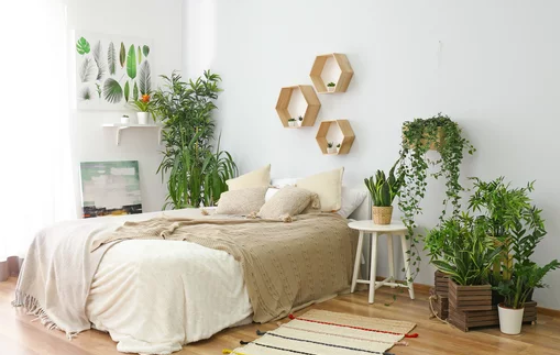 Plants In Your Bedroom