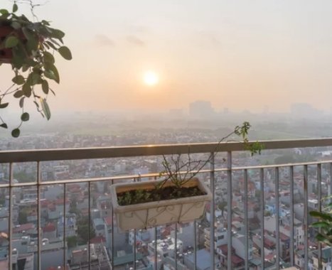 Growing Vegetables in Hanging Baskets