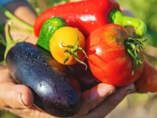 Summer Vegetables