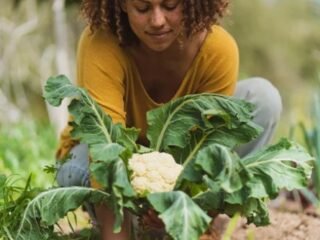 How to Save Time with Your Vegetable Gardening