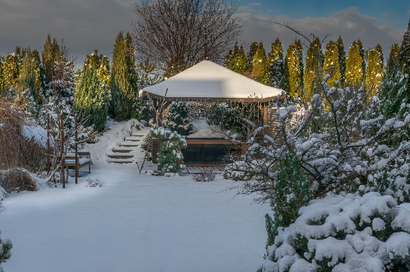 Winter Garden Care