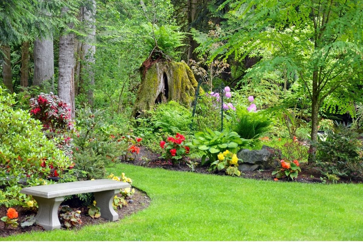 7 care tips for maintaining a vibrant and flowery garden
