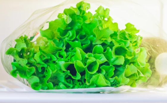 How Long Does Lettuce last in the Refrigerator