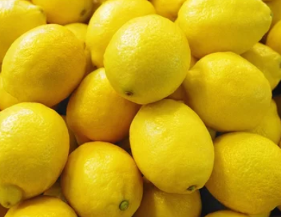 Lemon