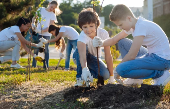 How the planting fruit trees valuable to the family
