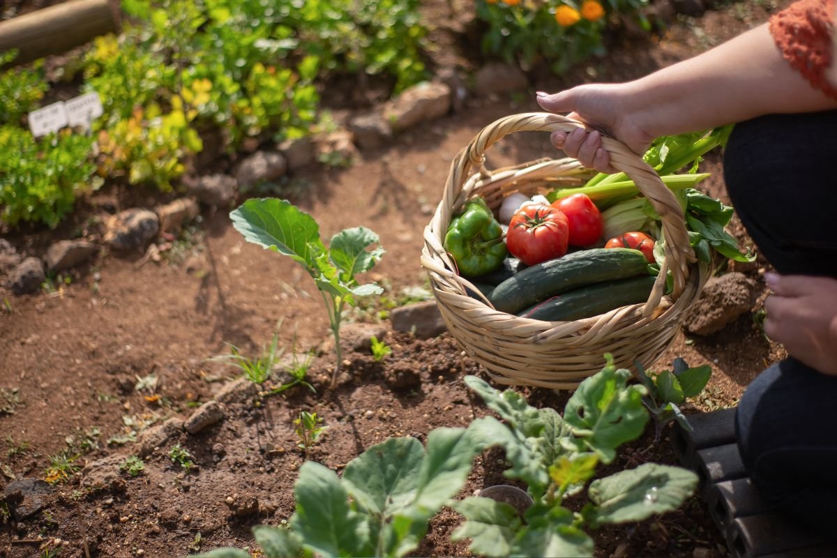 Why is Gardening Beneficial For Your Health