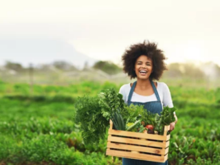 Gardening Boxes For Vegetables