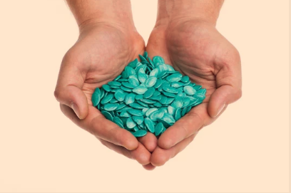 pumpkin hybrid seeds