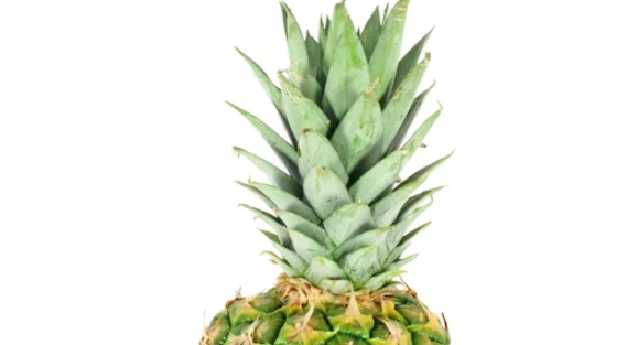 How to Grow Pineapple from Top