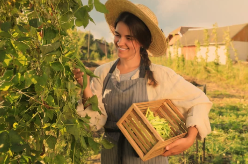 When to Plant Green Beans in Virginia