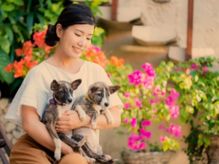 What House Plants are Safe For Dogs