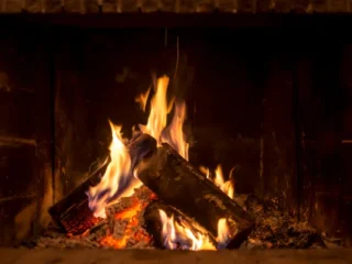 Best Fireplace Wood