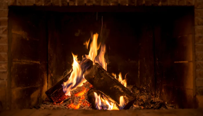 Best Fireplace Wood