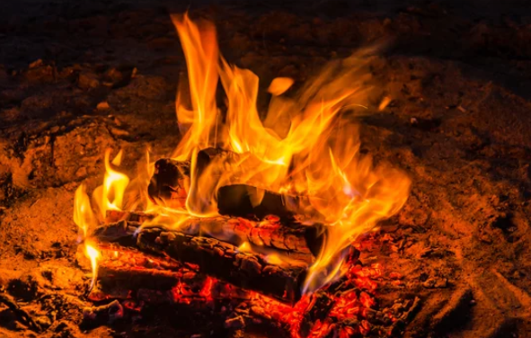 Best Fireplace Wood
