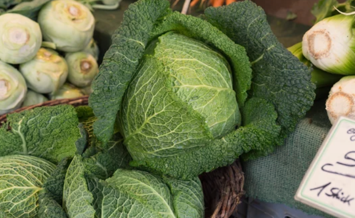 Planting Your Perfect Veggie Garden