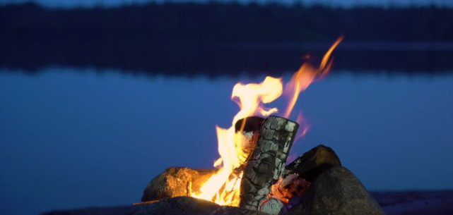 Best Fireplace Wood