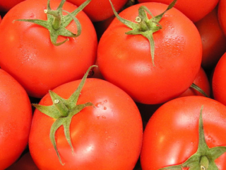Tomatoes in Your Diet