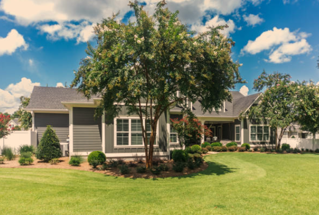 Your Large Yard: Uses and Maintenance Tips