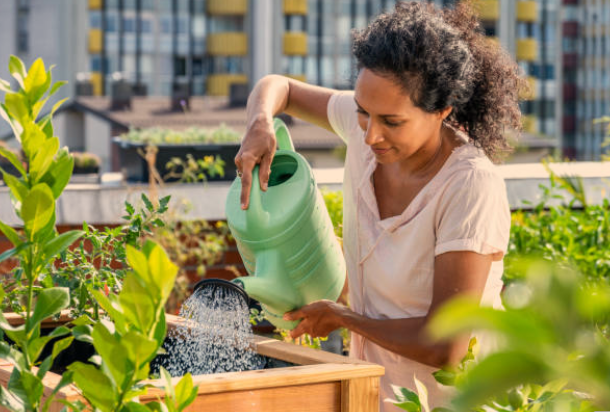 Raised Garden Plant Layout