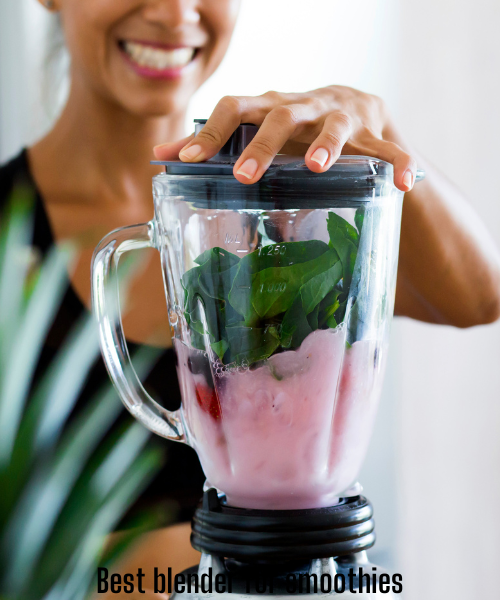 Best Blender for Frozen Fruit Smoothies