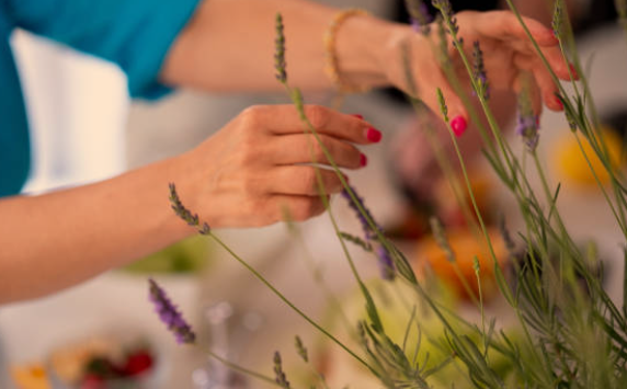 herbs that can grow indoors