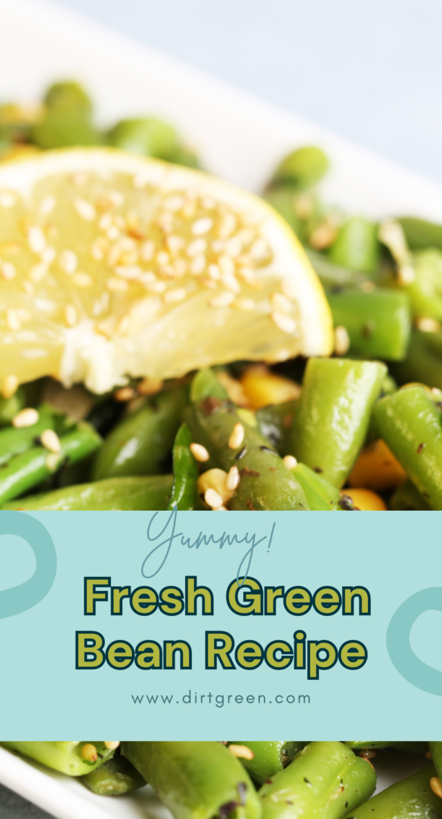 Fresh Green Bean Recipe