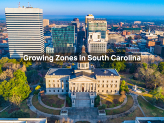 Growing Zones in South Carolina