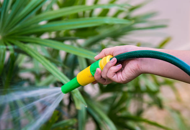 Flexzilla Garden Hose