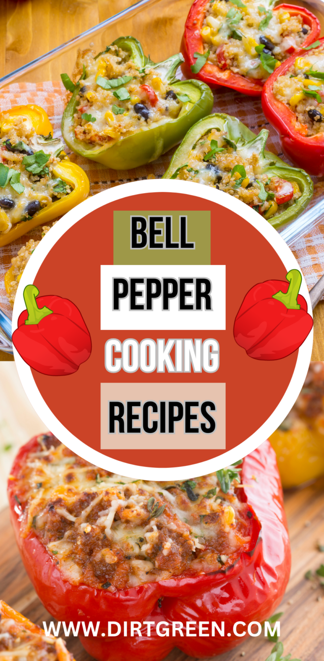 Bell Pepper Cooking Recipes