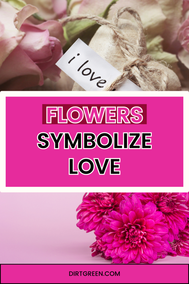 Flowers Symbolize Love