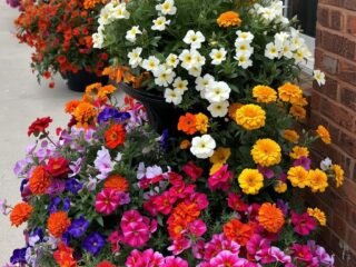 10 Creative Front Yard Landscaping Ideas