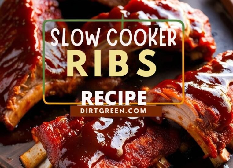 Slow Cooker Ribs Recipe